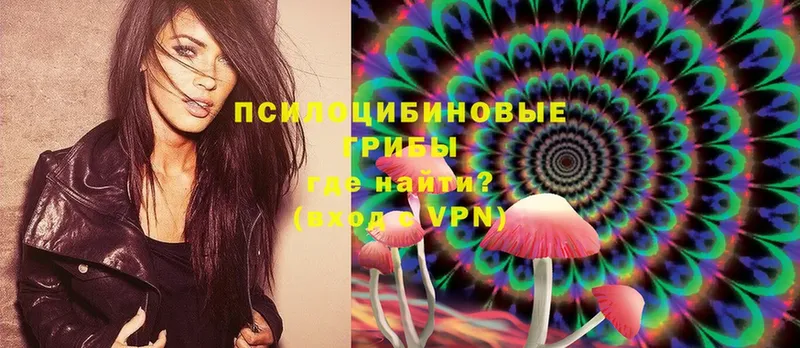 omg ССЫЛКА  Ставрополь  Псилоцибиновые грибы Magic Shrooms 